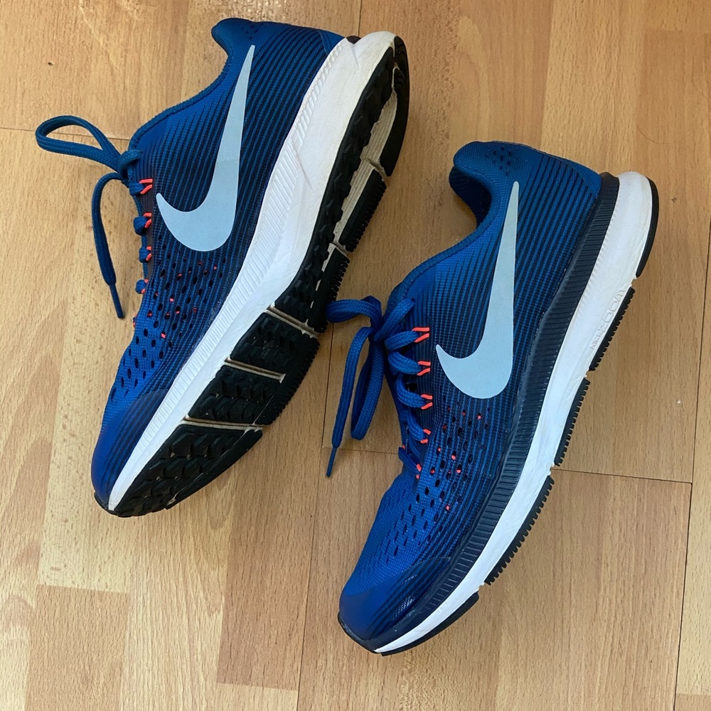 Nike Pegasus Zoom
